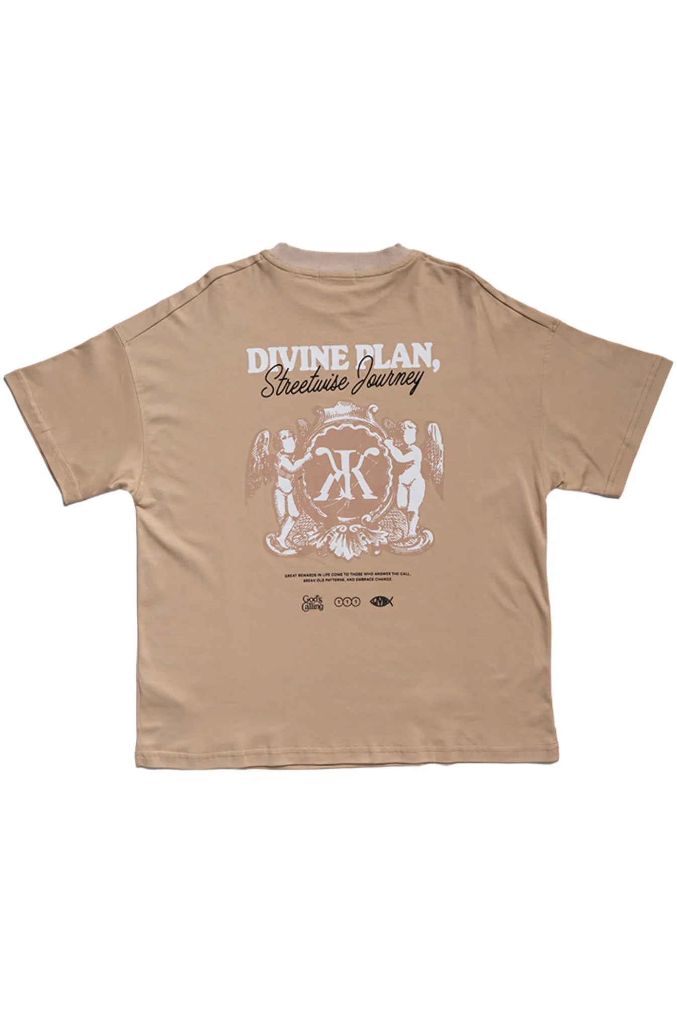 Divine Plan T-Shirt